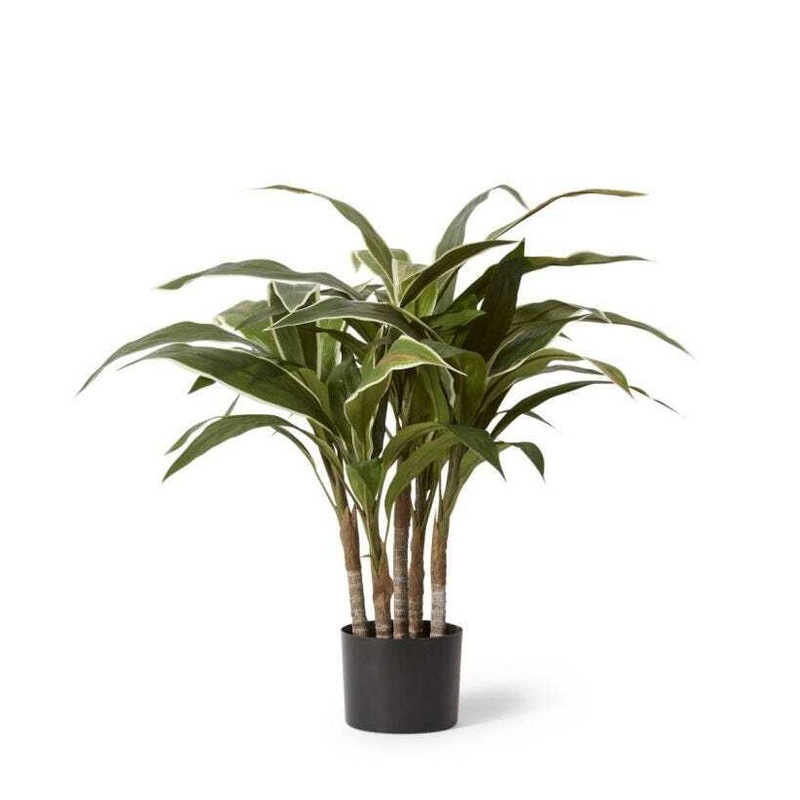 Buy Elme Living 60cm Cordyline Potted Artificial Plant Fake/Faux Home