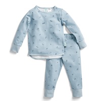 Ergopouch Toddler Pyjamas 2 Piece Set Long Sleeve Tog 0.2 Dragonflies