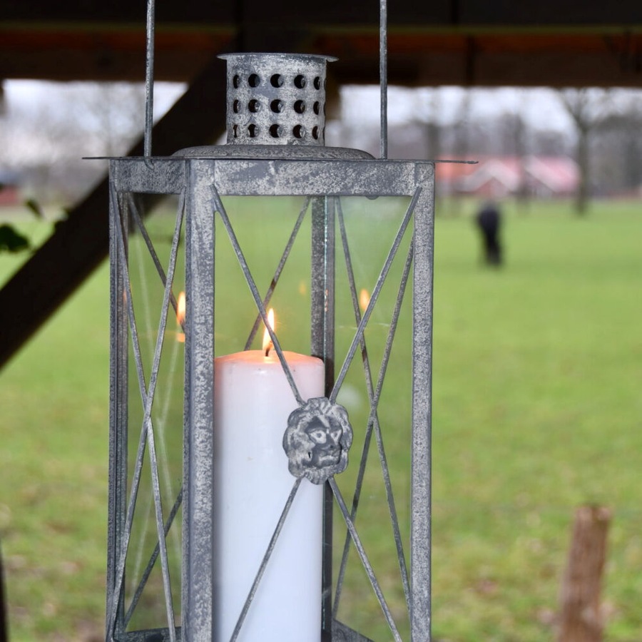 Buy Esschert Design Lion Lantern w/ Handle Galvanized Steel Garden ...