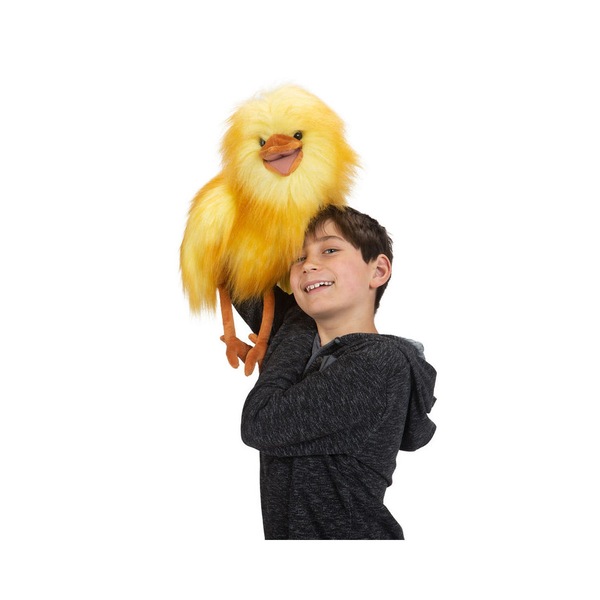 Image 4