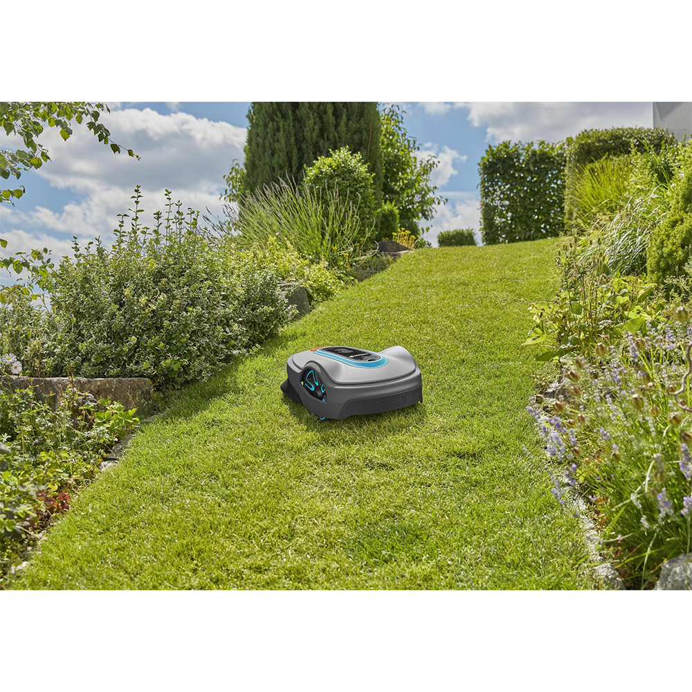 Image 5