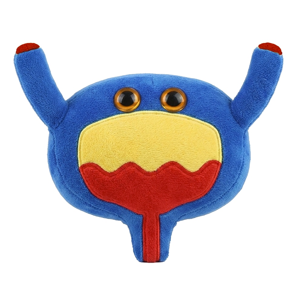 Science Soft Toy Buy Giant Microbes Bladder Organ Educational Stuffed Soft Science Plush ...