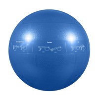 GoFit 55cm Proball Sports Gym Exercise Fitness/Yoga Training Stability Ball Blue