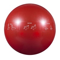 GoFit 65cm Proball Sports Gym Exercise Fitness/Yoga Training Stability Ball Red
