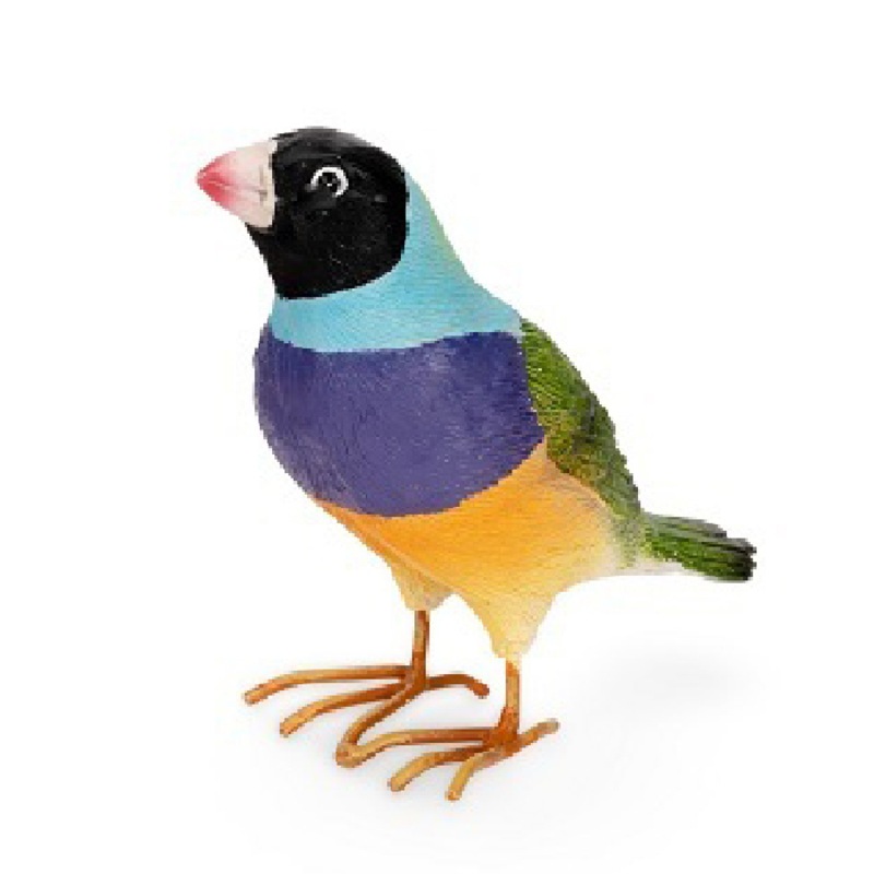 Buy Gouldian Finches 8cm Polyresin Small w/ Metal Feet Outdoor Garden