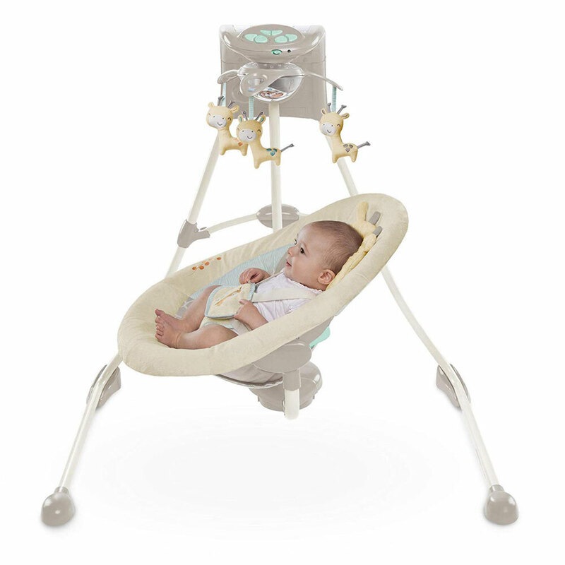 ingenuity giraffe swing