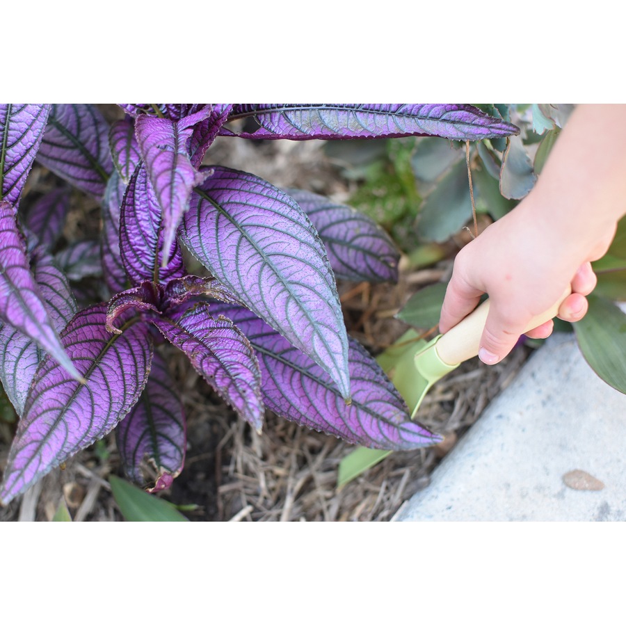 Kaper Kidz Toddler/Children's Outdoor Garden Belt With Tools & Name Tag 3+