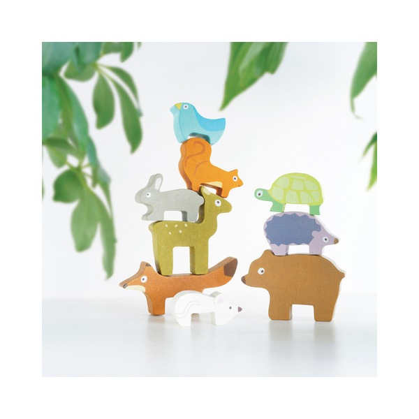 Image 11