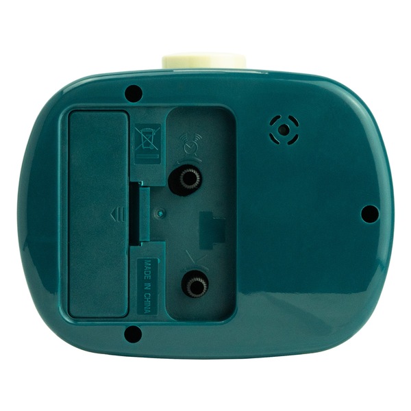 Image 4