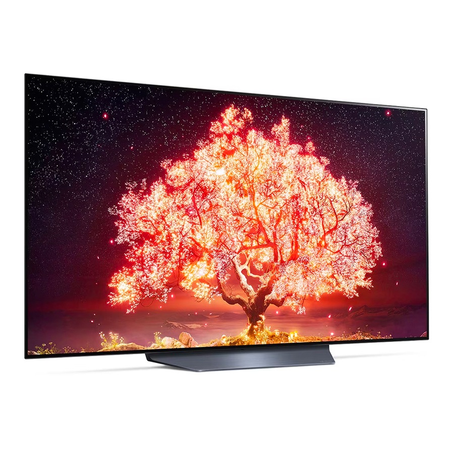 LG B1 65' 4K 120Hz Smart Self-Lit OLED TV HDR10 w/ AI ThinQ Dolby Atmos