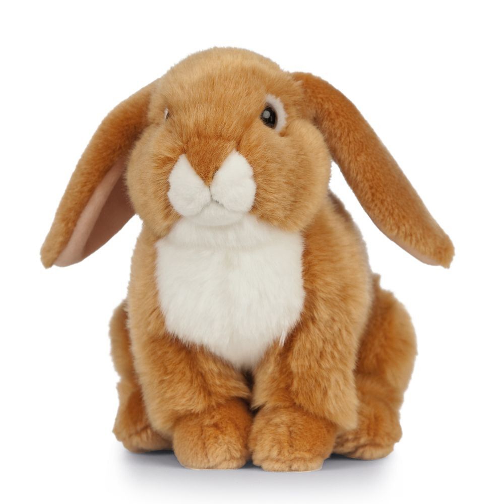 Buy Living Nature French Lop Eared 26.5cm Rabbit Animal Kids Soft Toy ...