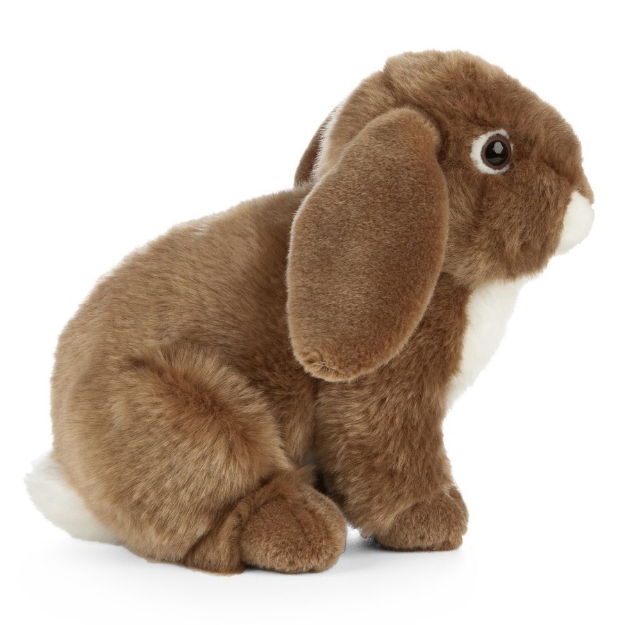 Buy Living Nature French Lop Eared 26.5cm Rabbit Animal Plush Kids Soft ...