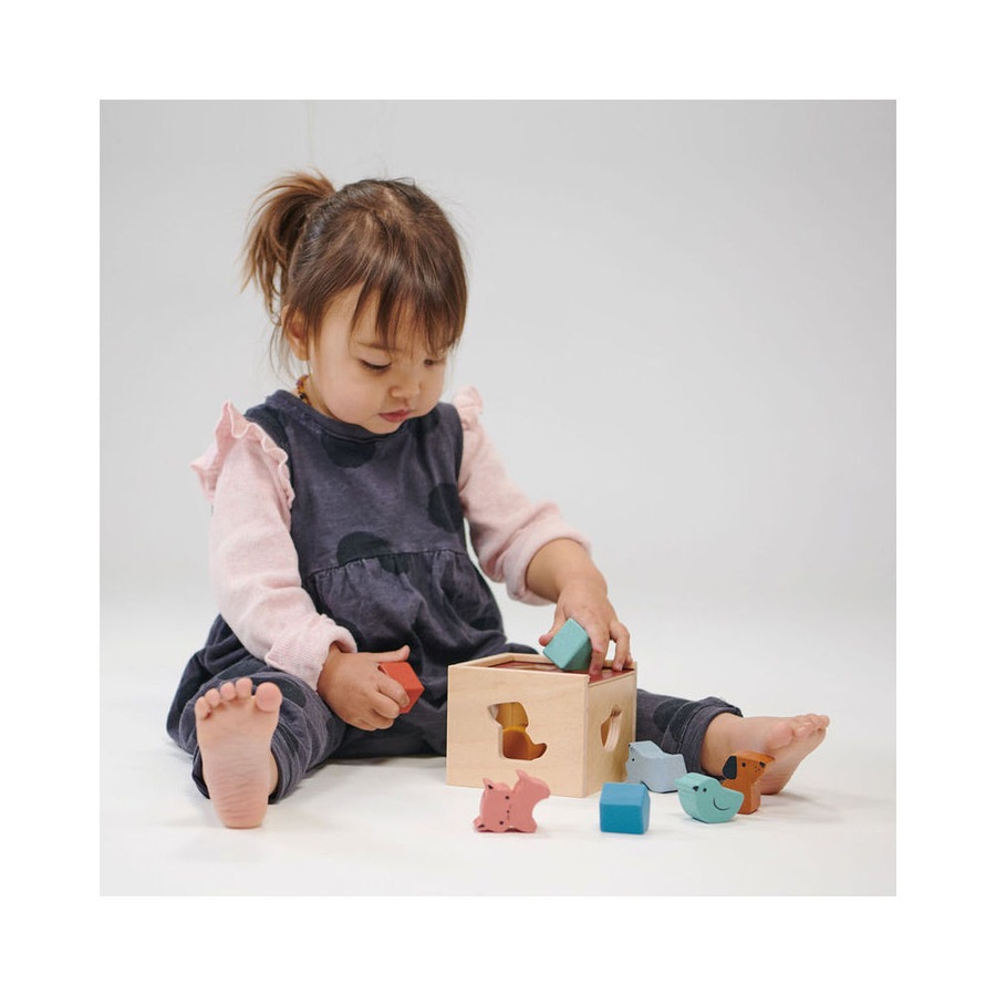 Mentari Bambino Shape Sorting Cube Kids/Child Interactive Play Wooden Toy 2y+