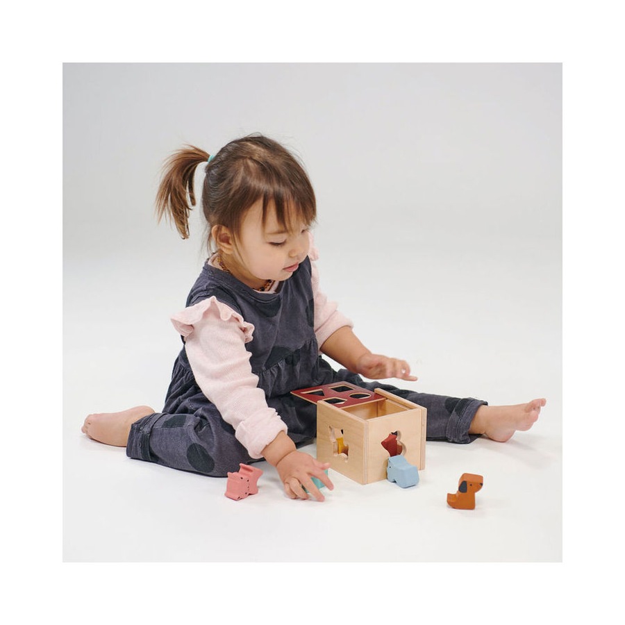 Mentari Bambino Shape Sorting Cube Kids/Child Interactive Play Wooden Toy 2y+