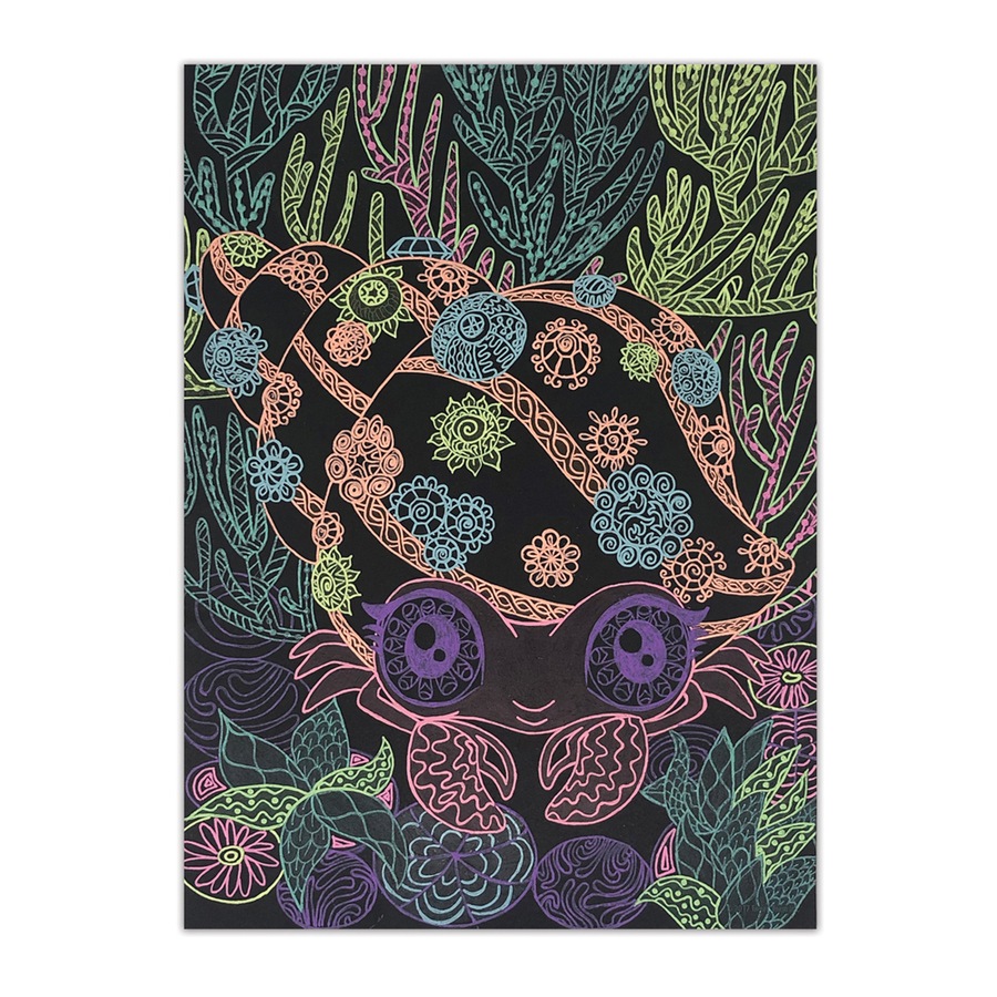 Nebulous Stars Black Pages Colouring Book Art/Craft Activity Set Coralia 7y+