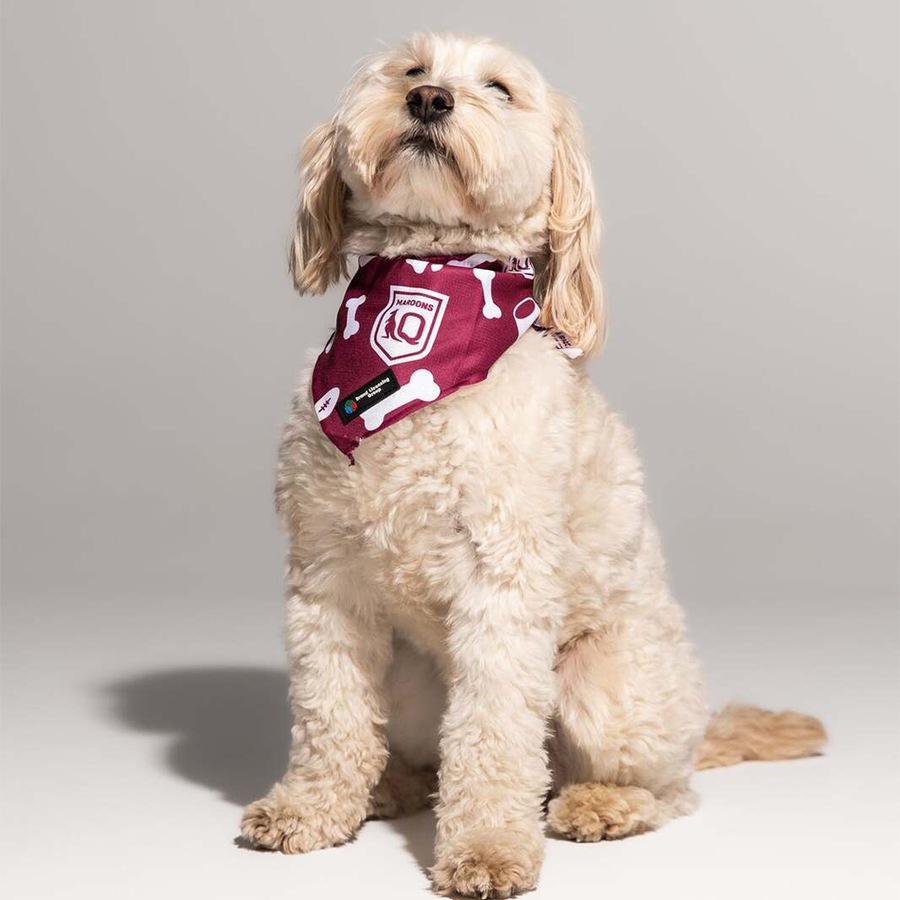 NRL Dolphins Pet Bandana L Dog 44cm Collar Triangle Scarf Neckerchief Accessory