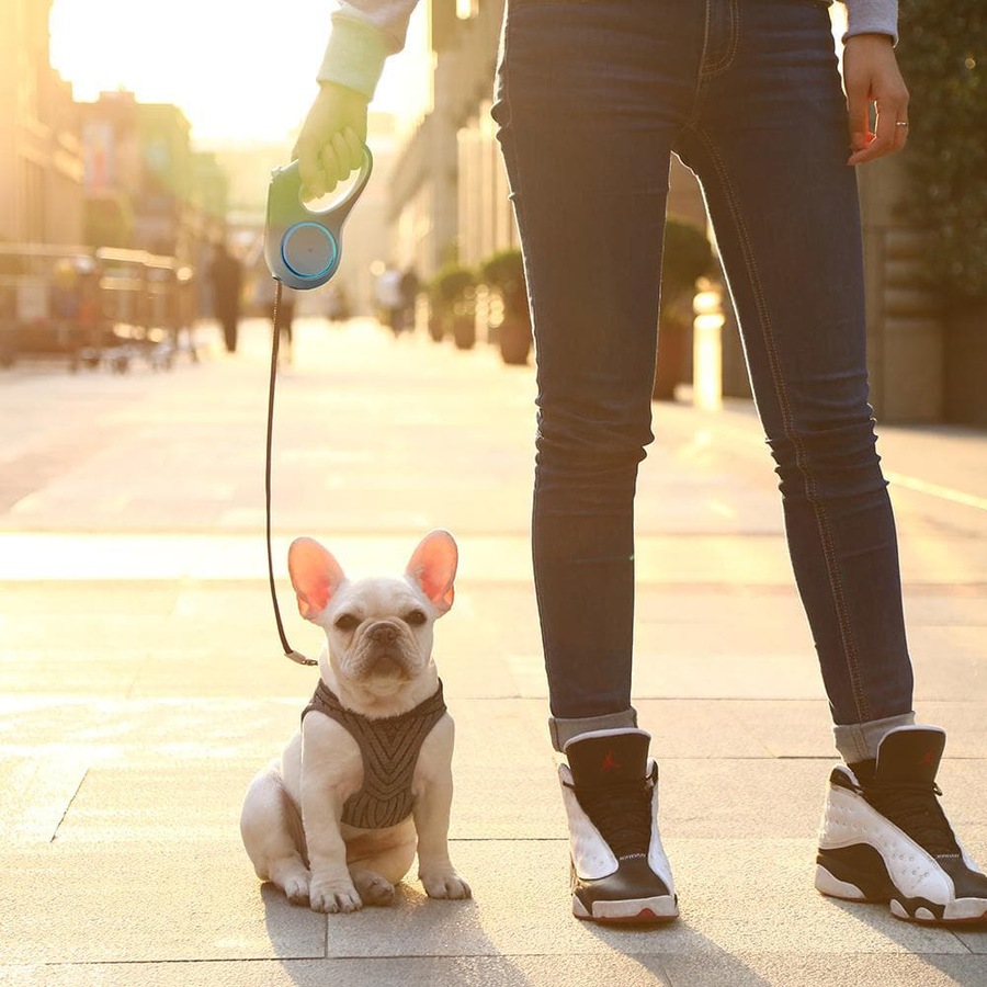 Petkit Go Shine Dog 4.7m Retractable Leash Outdoor Walk Lead Cord w/ Light White