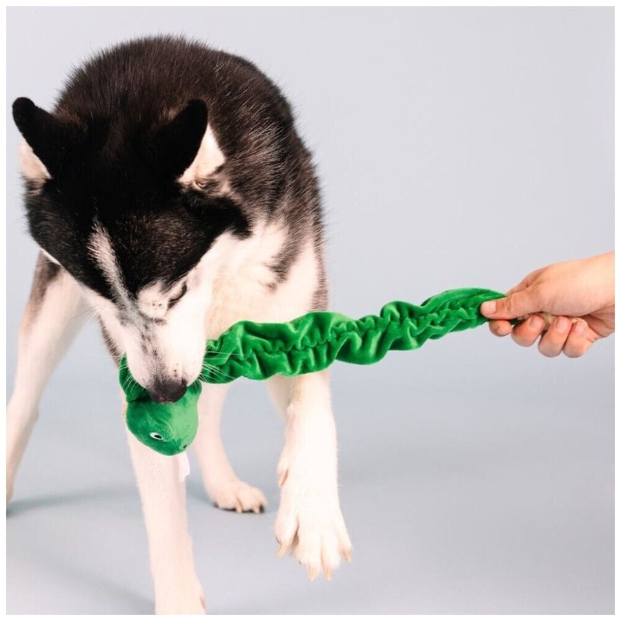 Petshop By Fringe Studio Hisses & Kisses Tuggable Soft Plush Dog Toy Green