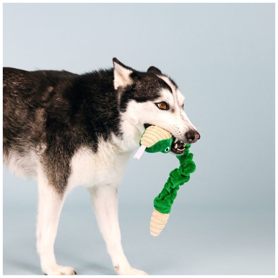 Petshop By Fringe Studio Hisses & Kisses Tuggable Soft Plush Dog Toy Green