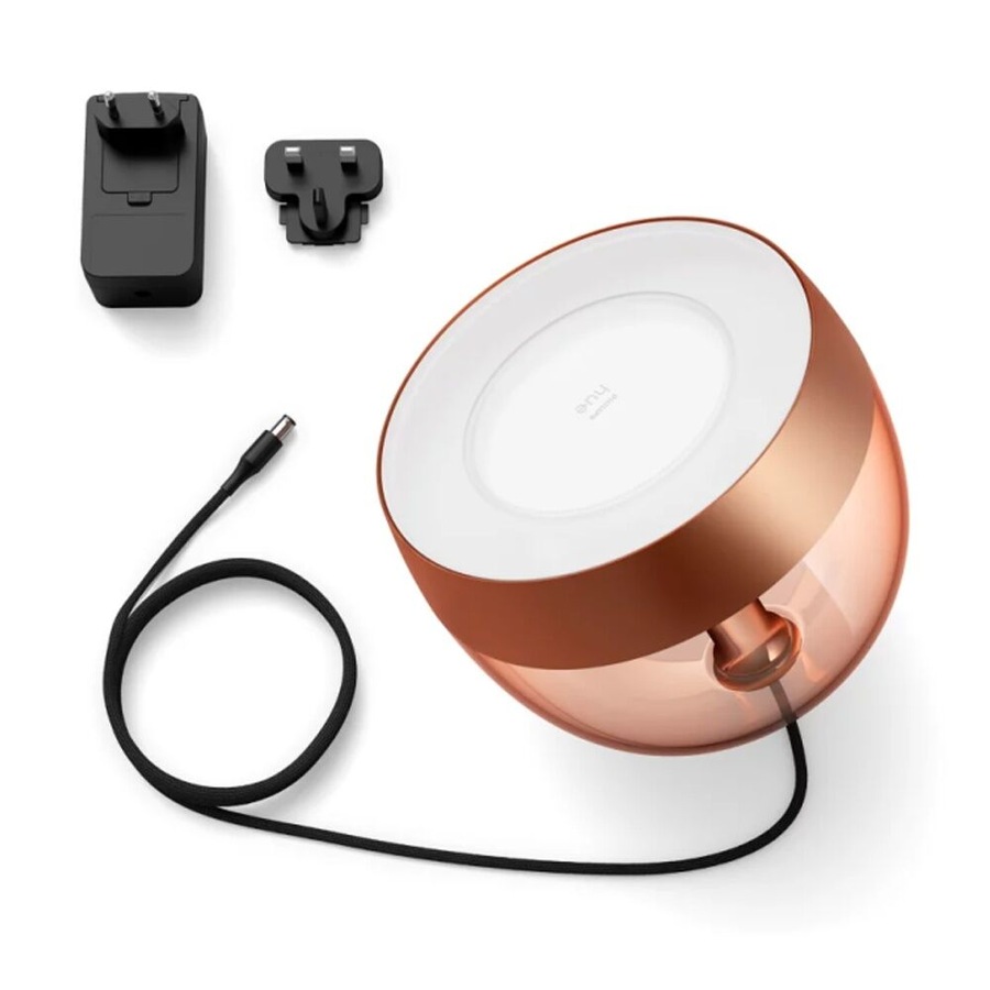 Philips Hue Iris Special Edition Smart Light Ambient Lamp Copper