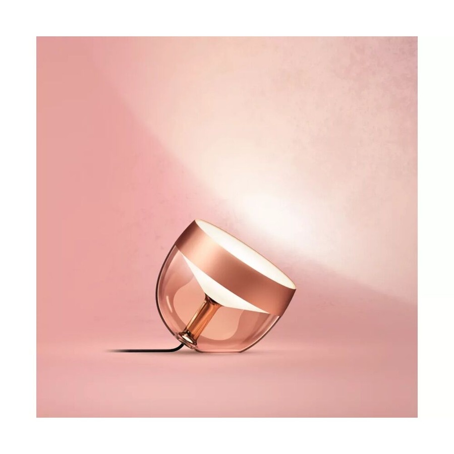 Philips Hue Iris Special Edition Smart Light Ambient Lamp Copper