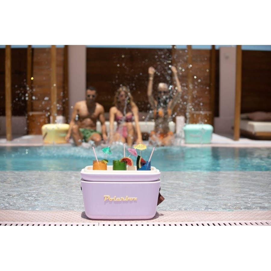 Polarbox Ice Chest Cooler Box Insulated Portable Outdoor Caravan 20L Lilac