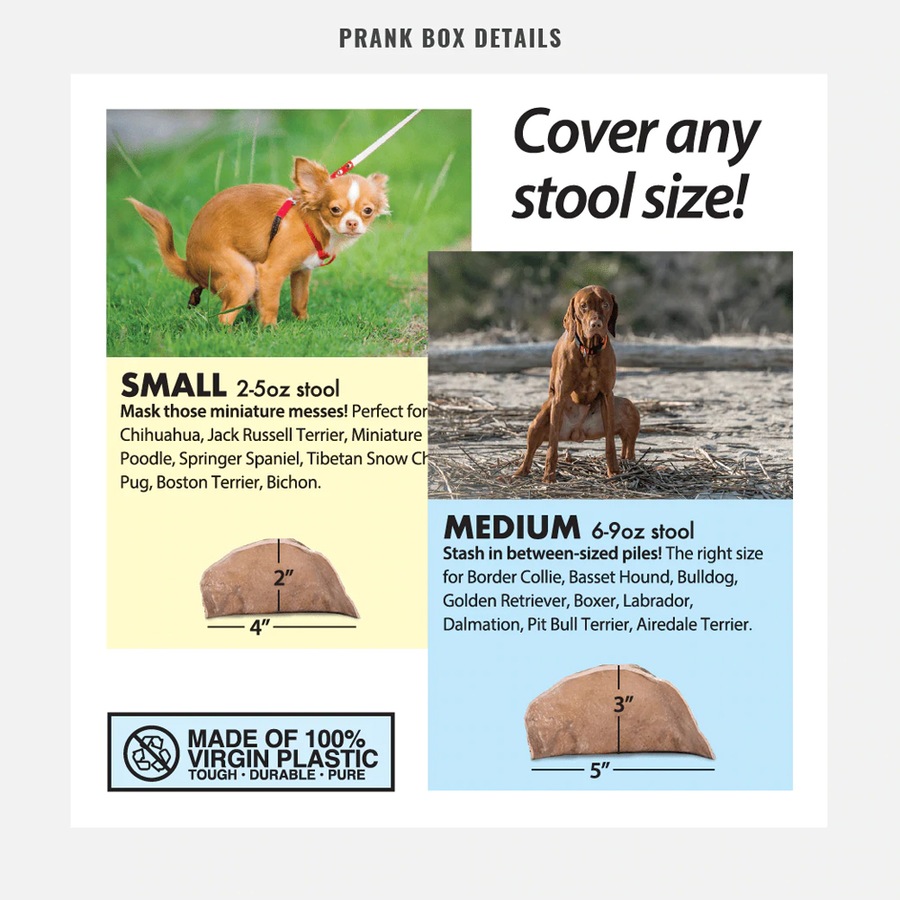 Prank-O Prank Empty Gift Box Storage Party Funny/Joke Fake 28.5cm Hide-A-Poo