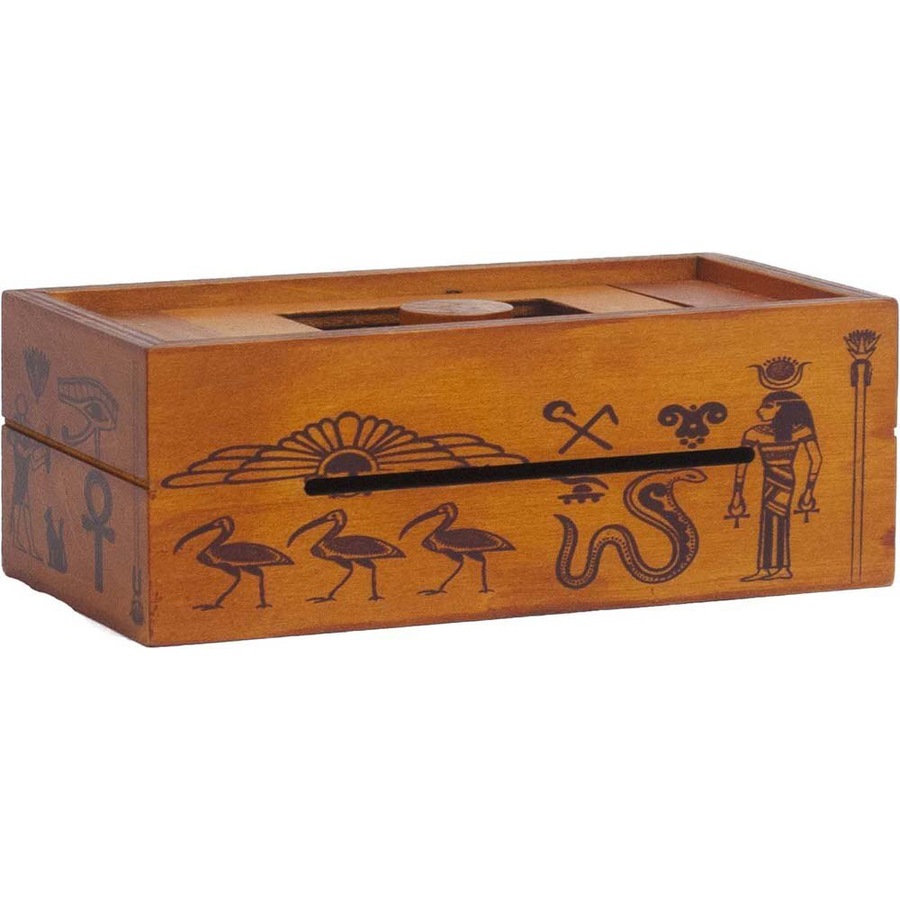 Buy Project Genius Pharaoh’s Tomb Interactive Problem Solving Puzzle ...