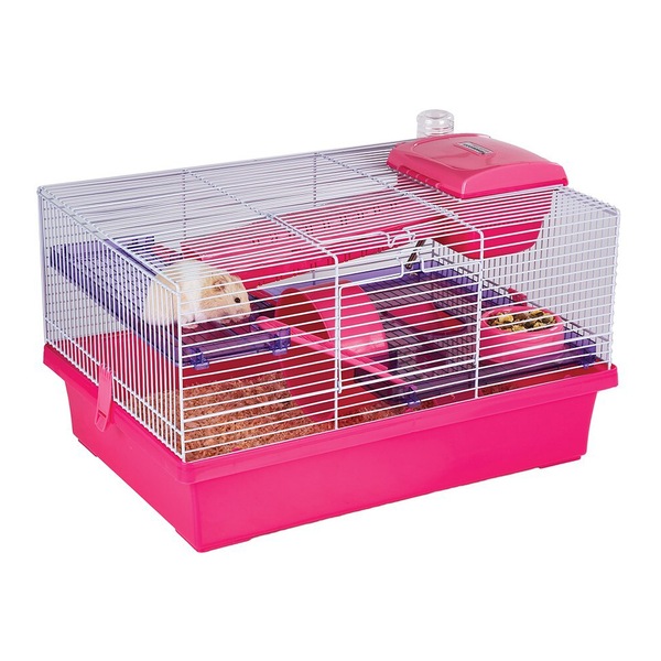 Image 1
