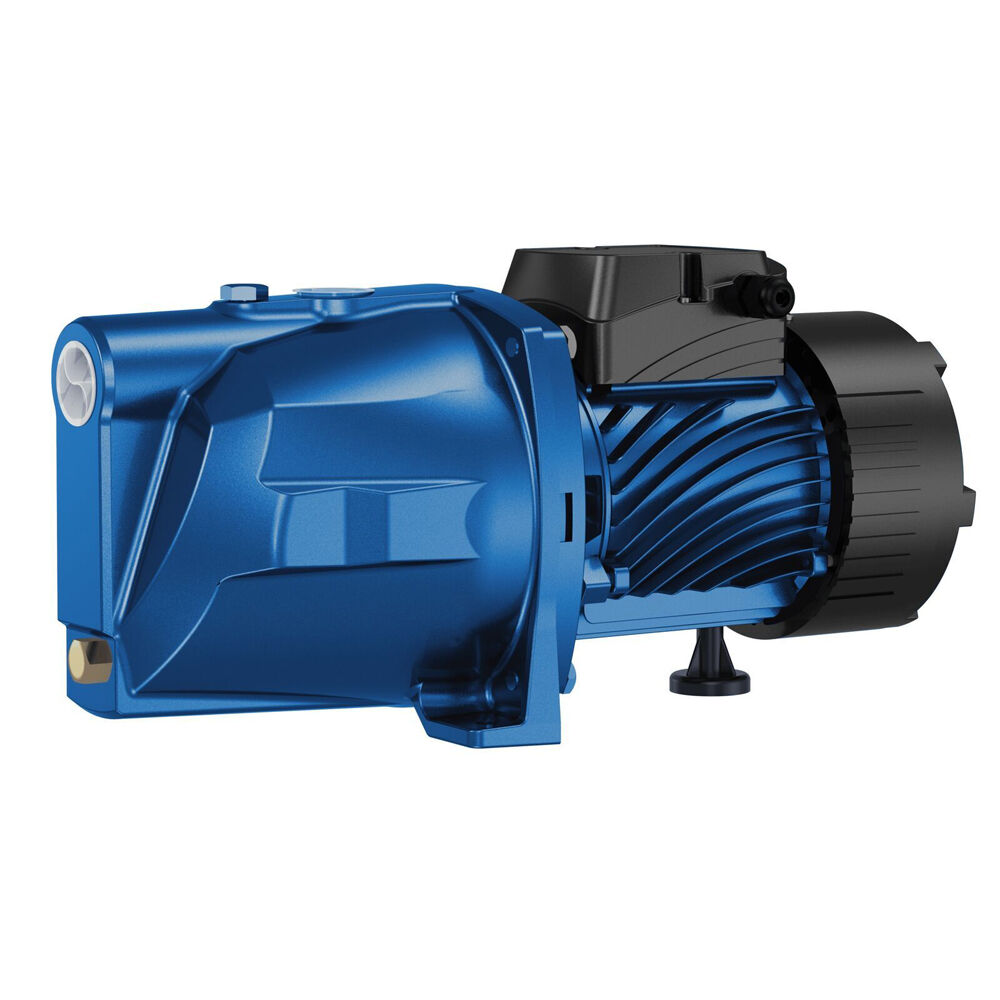 Rural Max 750W Cast Iron Garden Pressure Water Transfer Pump RM-JP100 Blue Australia