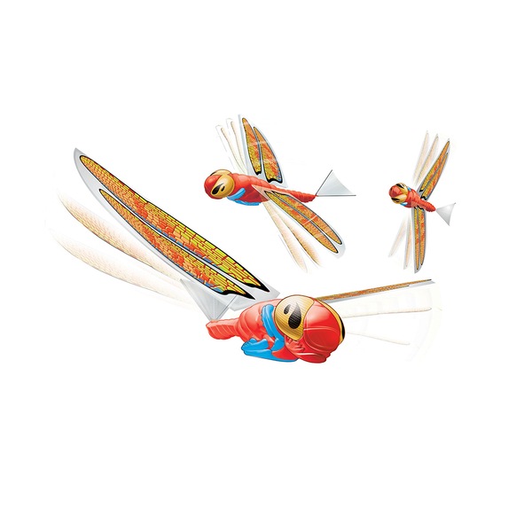 Image 2