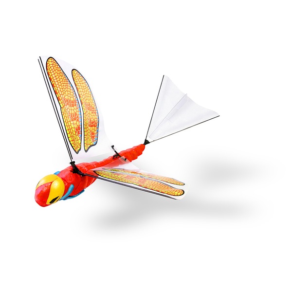 Image 4