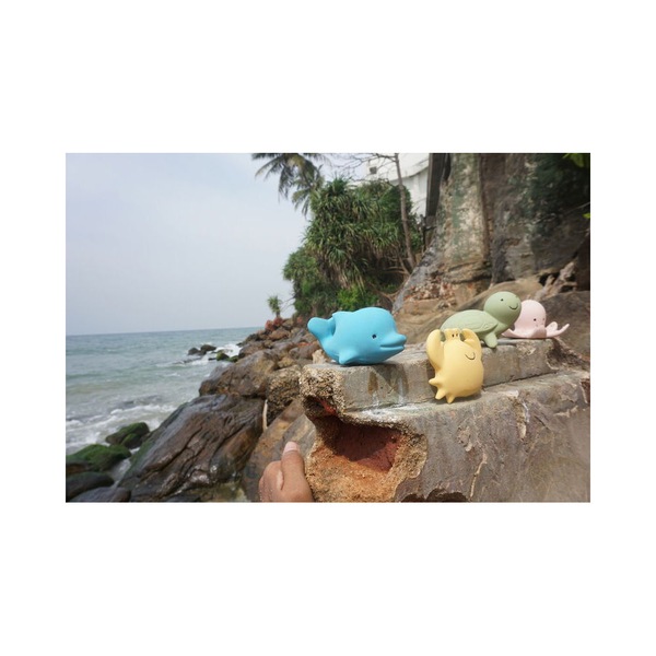 Image 6