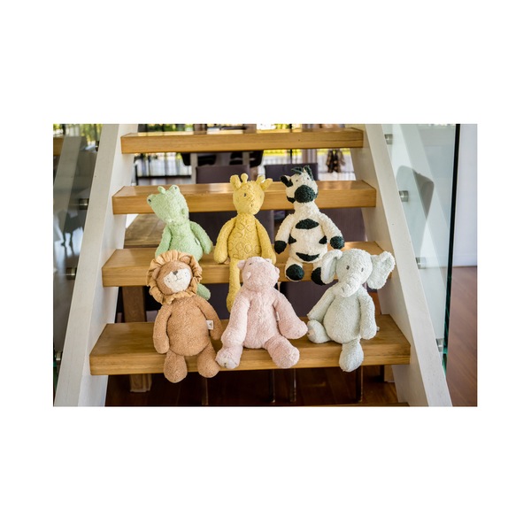 Image 10