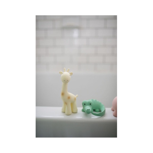 Image 9