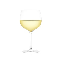 Plumm Vintage WHITE b European Crystal Wine Glass (568 ml) - Twin Pack