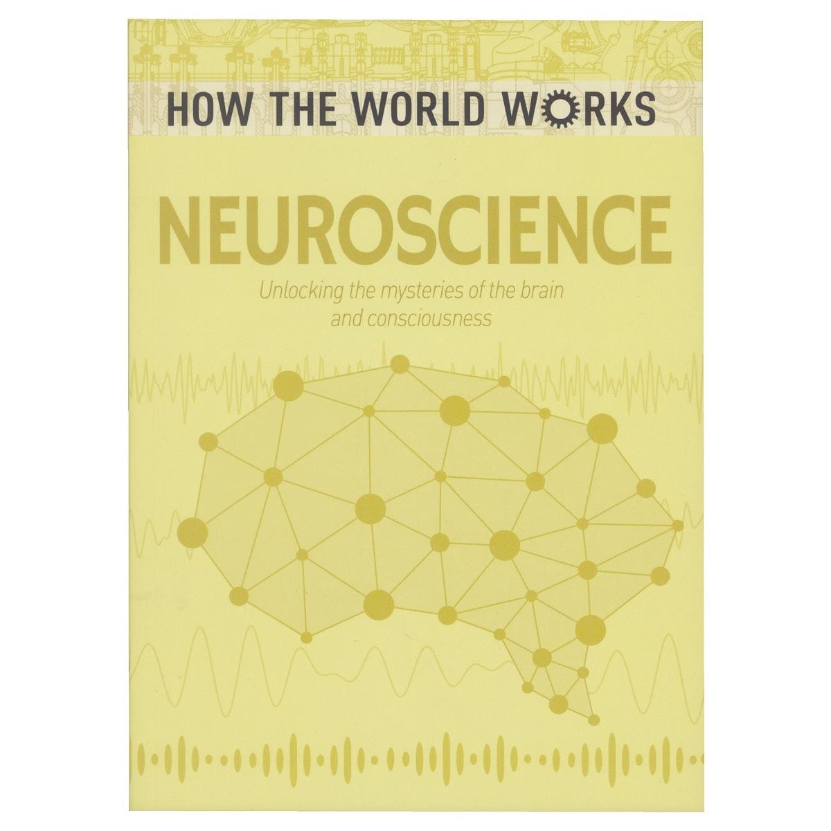 How The World Works Neuroscience