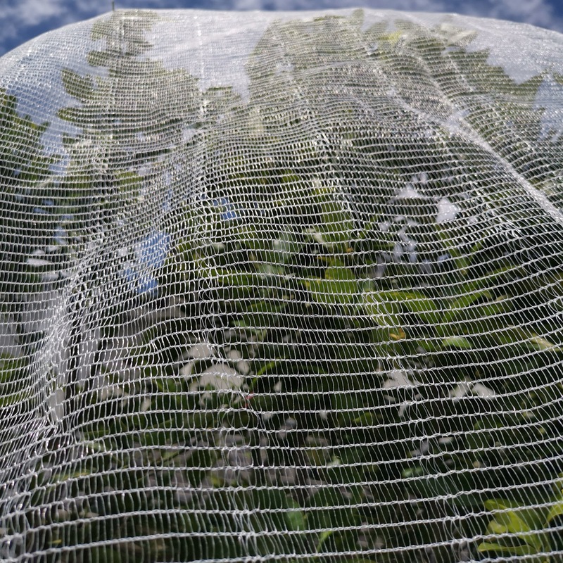 QOZY Fruit Fly Net Insect Mesh Vegetable Garden Plant Crops Bird