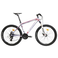 HASA COMP 3.0D Pro Shimano 24 Speed Mountain Bike 26" - Grey