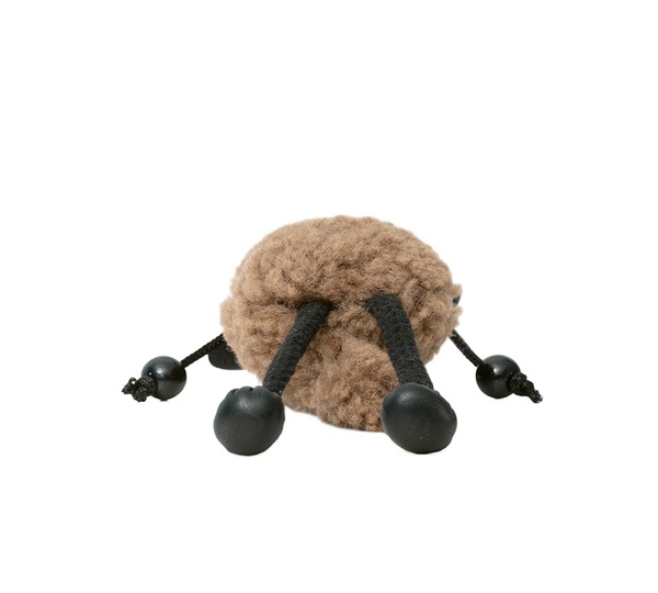 Image 6