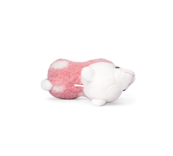 Image 22