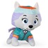 Buy Paw Patrol Everest Mini Plush 5