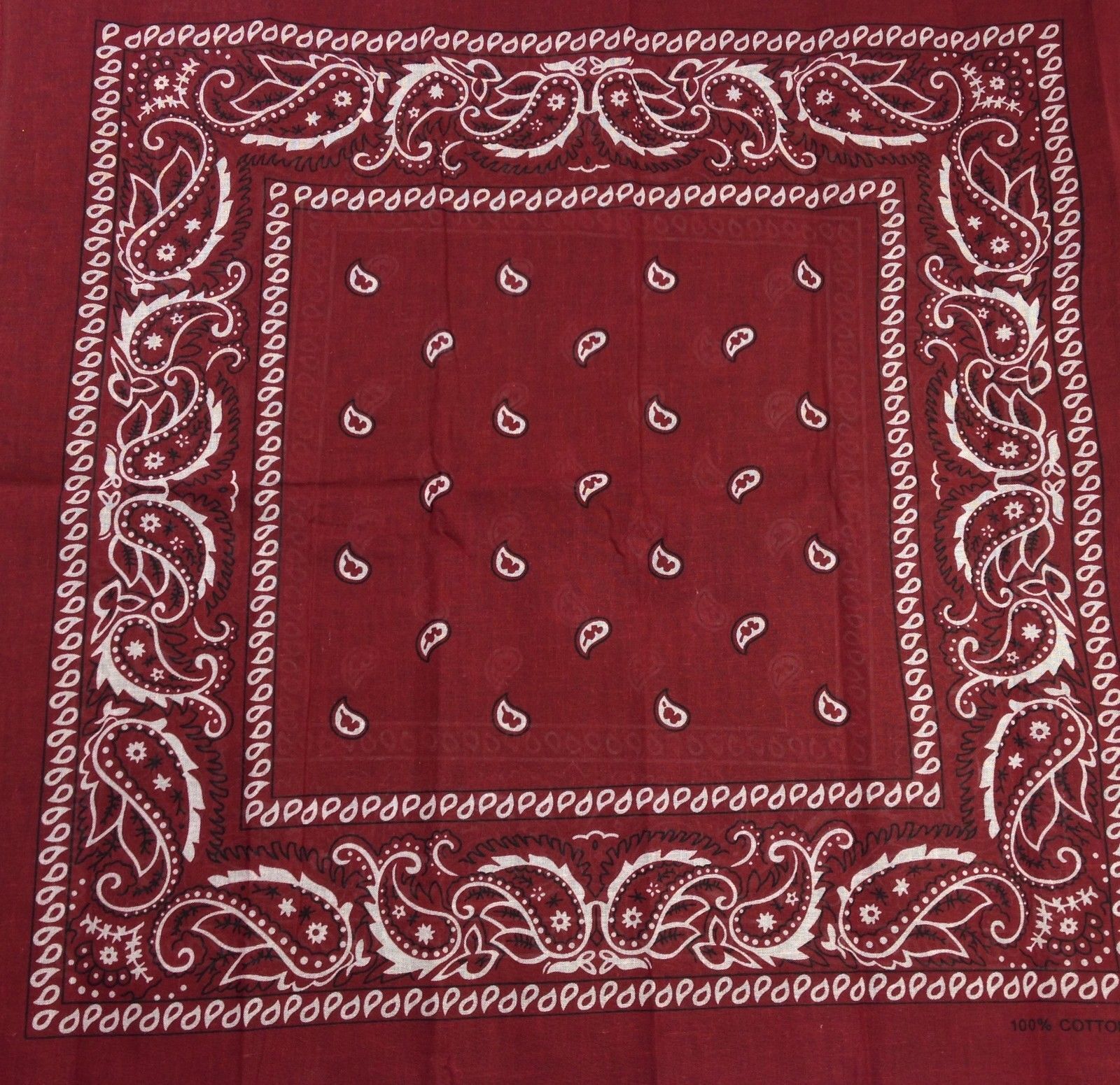 Image 13