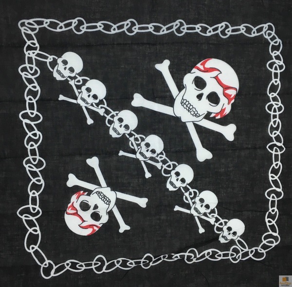 Image 21
