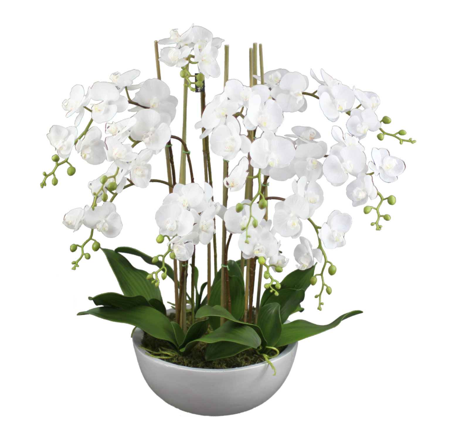 75cm Large Faux Phal Orchid with Ceramic Pot Artificial Plant Flower Tree Fake