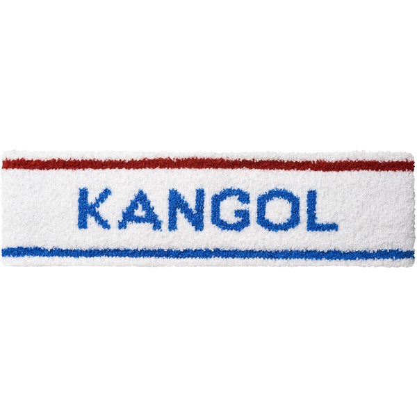 Image 4