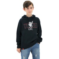 Liverpool FC Youth Boys Hoodie Jumper LFC YNWA Firebird Hoody - Navy
