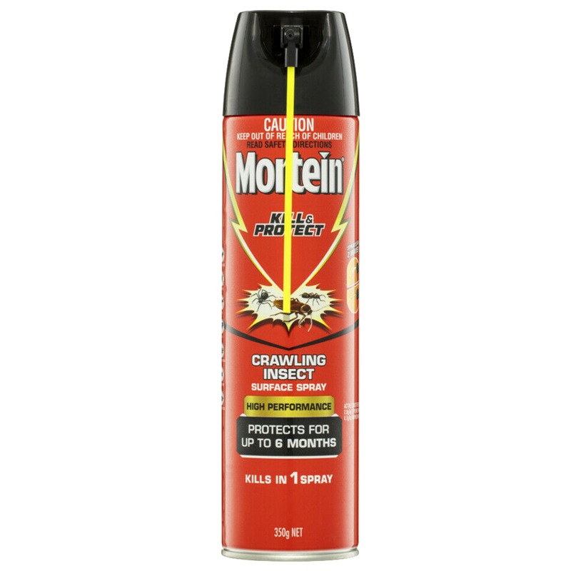 Buy Mortein Kill & Protect 350g Crawling Insect/Cockroach/Spider/Ants ...