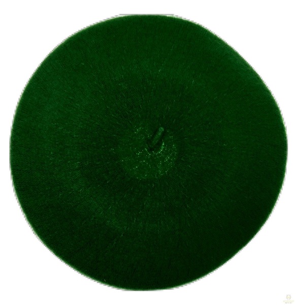 Image 11