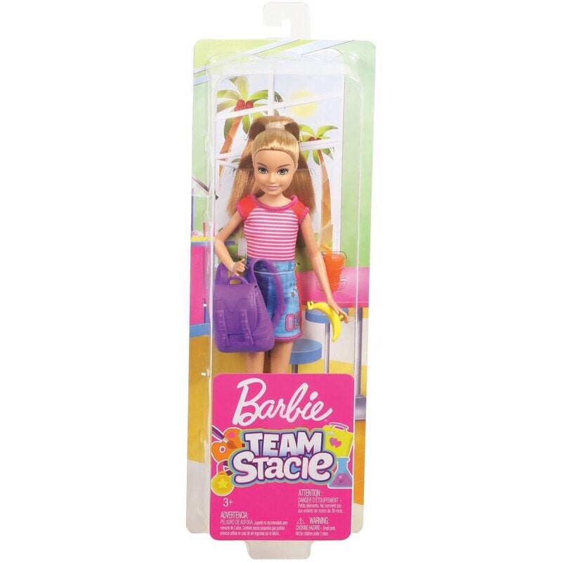 Barbie Team Stacie Art Class Exclusive Playset w Boy Doll & Accessories NEW 
